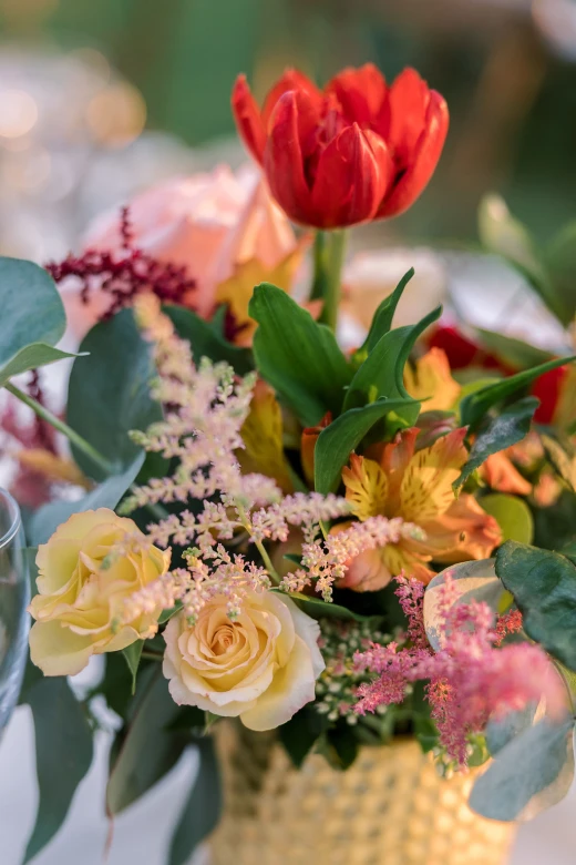 Parin & Parul - imagem 18