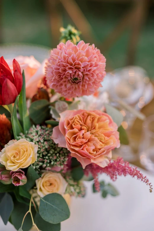 Parin & Parul - imagem 19