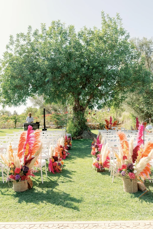 Gemma & David - imagem 3