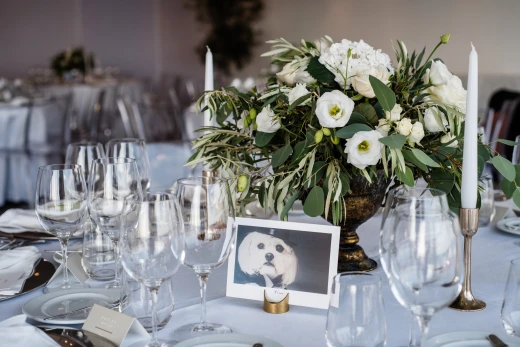 Caroline & Padraig - imagem 14